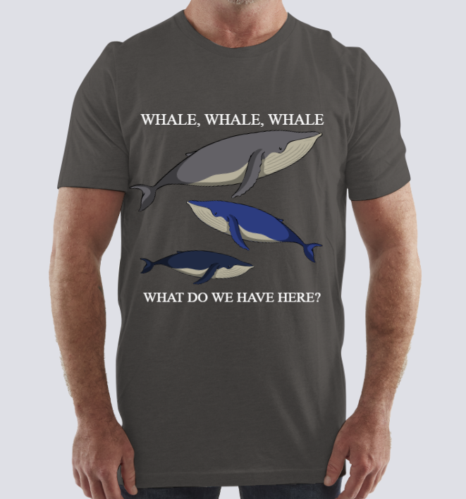 Whale, Whale, Whale, what do we have here?